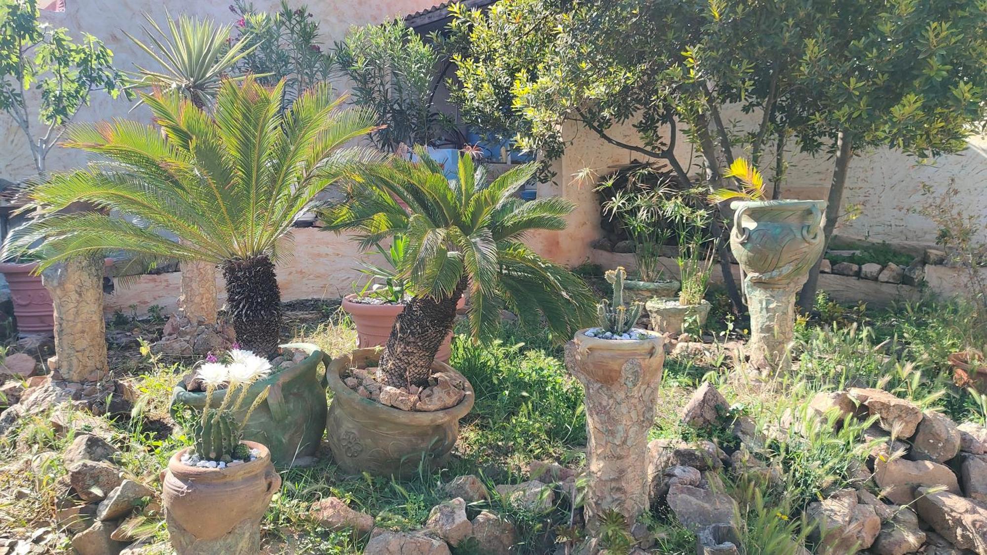 Casa Gaudi - House & Rooms Teulada Εξωτερικό φωτογραφία